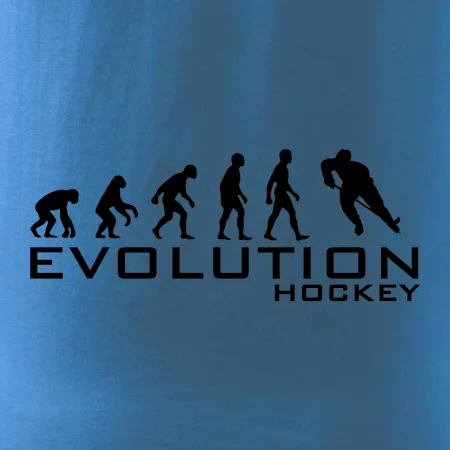 Evoluce Hockey - hráč