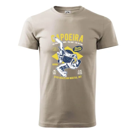 Capoeira  Afro-brazil art