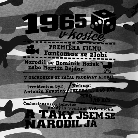 1965 v kostce