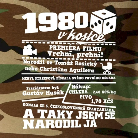 1980 v kostce