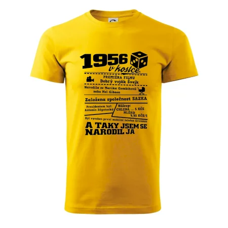 1956 v kostce
