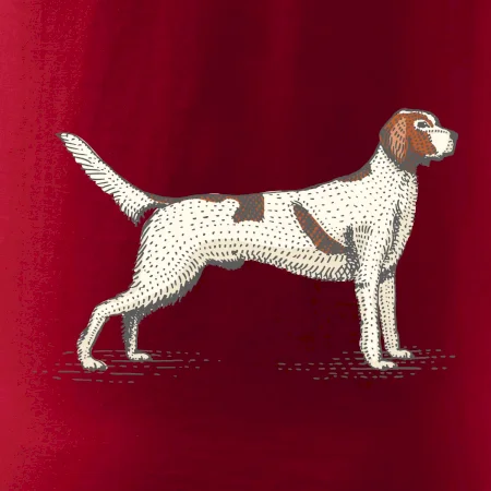 Vintage Setter