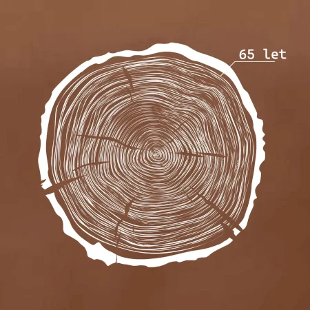 Letokruhy - 65