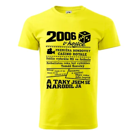 2006 v kostce