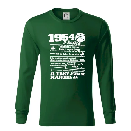 1954 v kostce