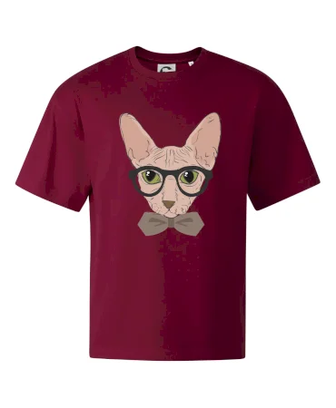 Hipster sphynx