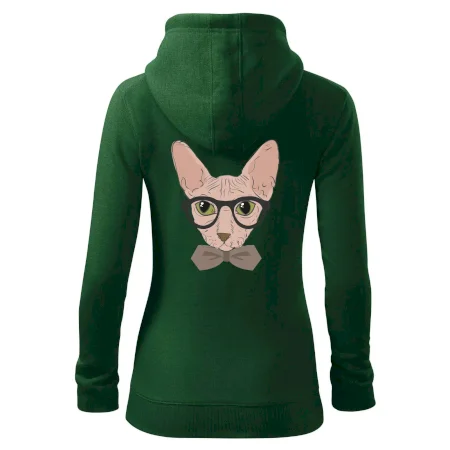 Hipster sphynx