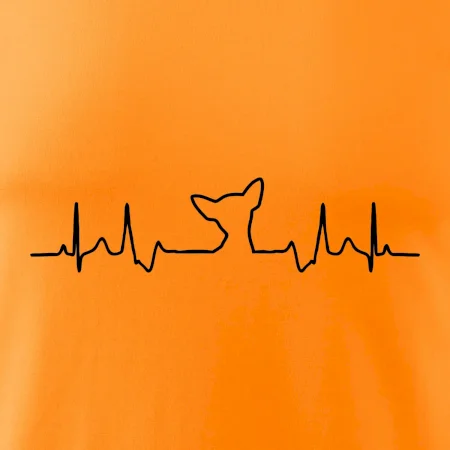 Čivava EKG
