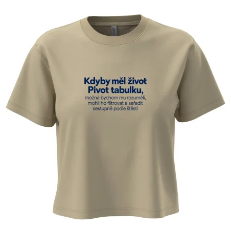 Kdyby měl život pivot tabulku