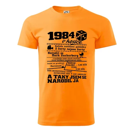 1984 v kostce