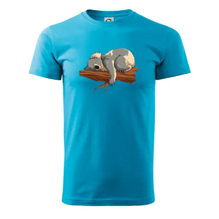 Koala na větvi
