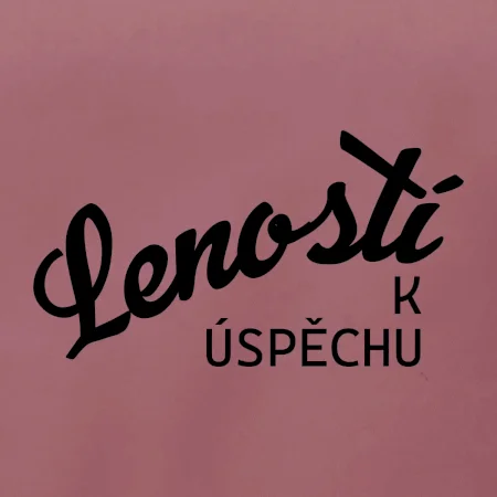Leností k úspěchu - psací
