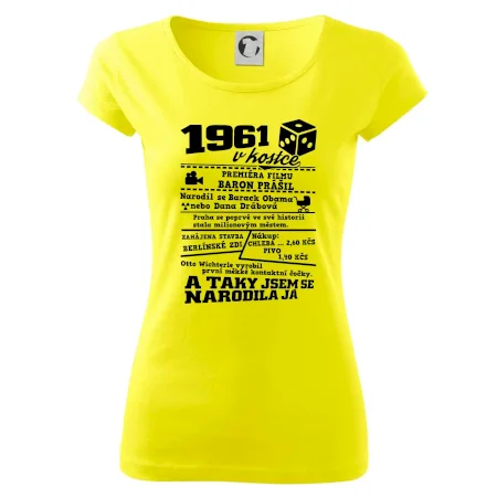 1961 v kostce