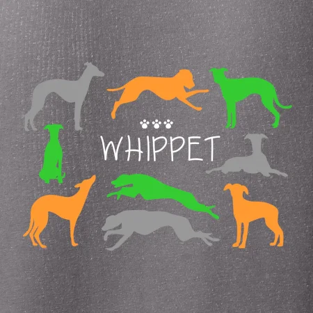 Whippet barevný