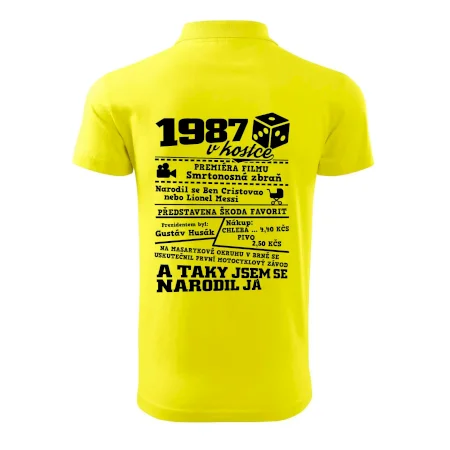 1987 v kostce