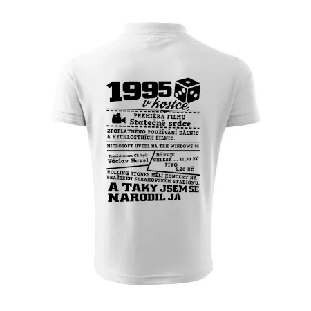 1995 v kostce