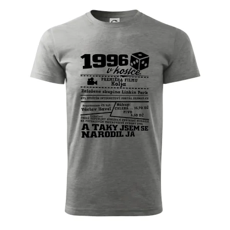 1996 v kostce