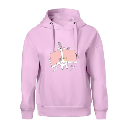 Učení na státnice kočka