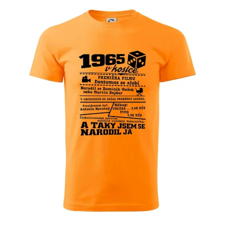 1965 v kostce