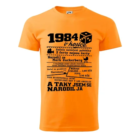 1984 v kostce