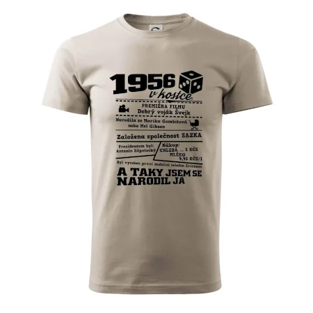 1956 v kostce