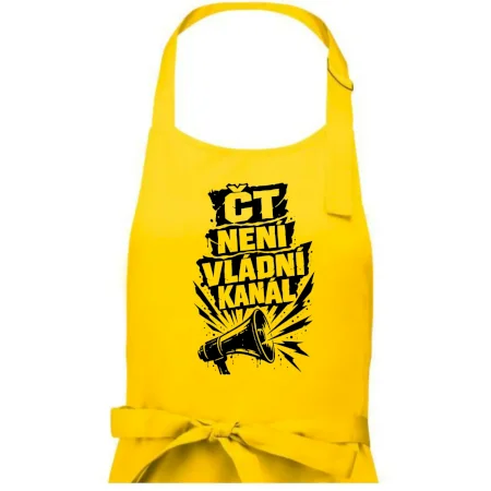 ČT není vládní kánál