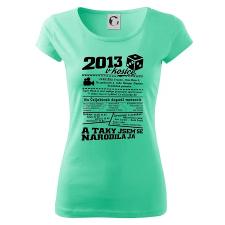 2013 v kostce