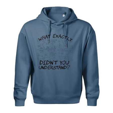 What exactly didnt you understand - physics