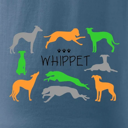 Whippet barevný