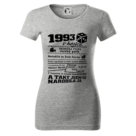 1993 v kostce