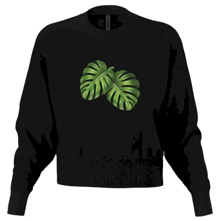 Monstera - dva listy
