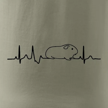 EKG morče