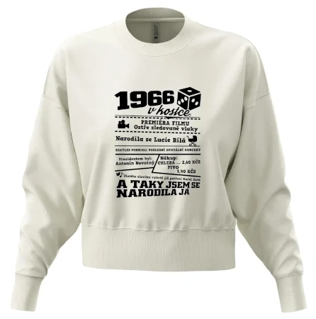 1966 v kostce