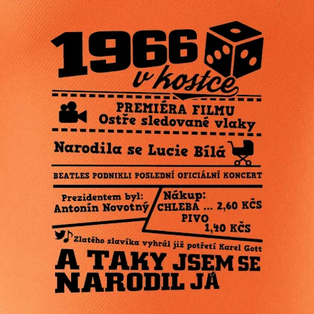 1966 v kostce