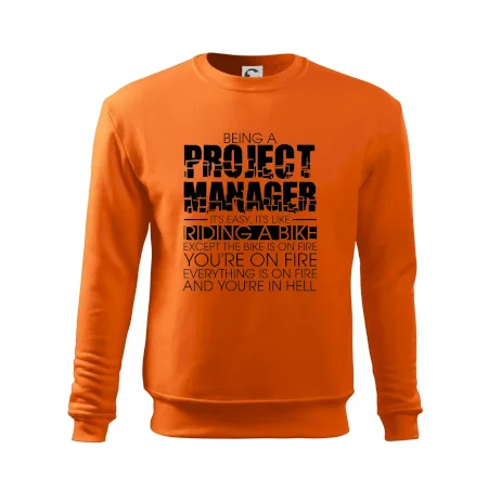 Being A Project Manager - bike
