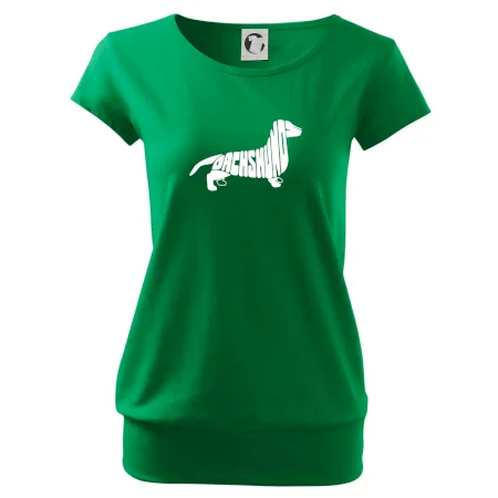 Jezevčík - Dachshund