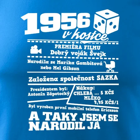 1956 v kostce