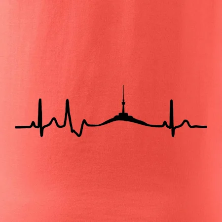 Ekg Jeseníky