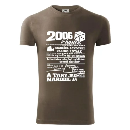 2006 v kostce