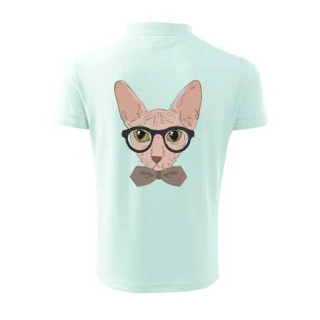 Hipster sphynx