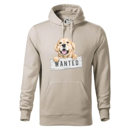 Zlatý retriever - štěně wanted