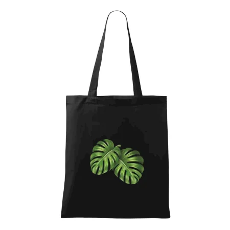Monstera - dva listy