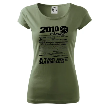 2010 v kostce