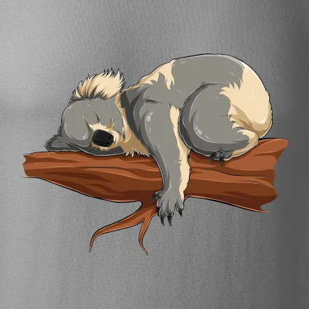 Koala na větvi