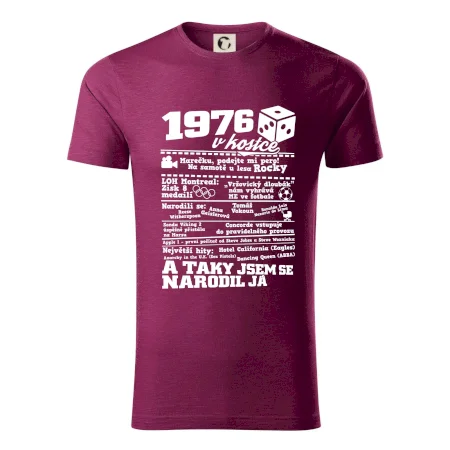 1976 v kostce