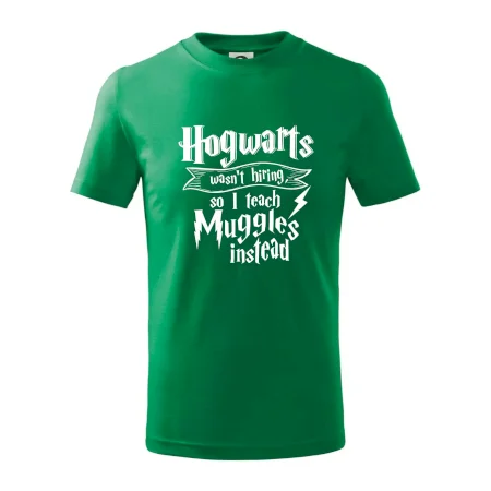 Harry - Hogwarts wasn’t hiring, so I teach Muggles instead
