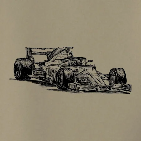 Formule v závodě