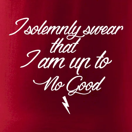 I solemnly swear that I'm up to no good