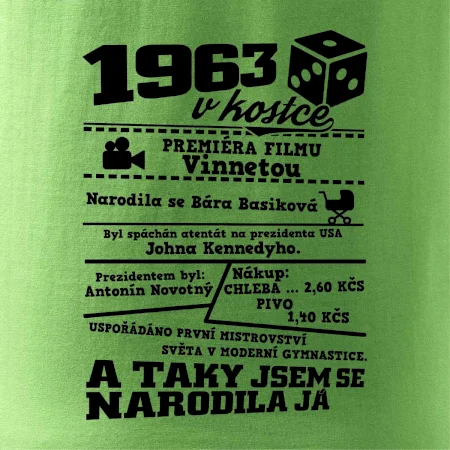 1963 v kostce
