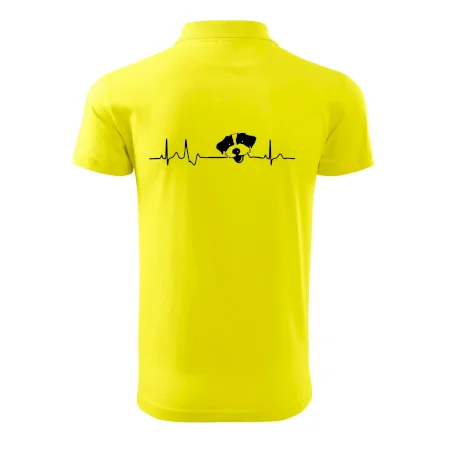 Jack Russell Terriér hrubosrstý Ekg
